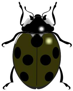 Ladybug symbol