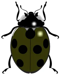 Ladybug symbol