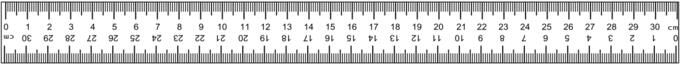 Ruler 31cm