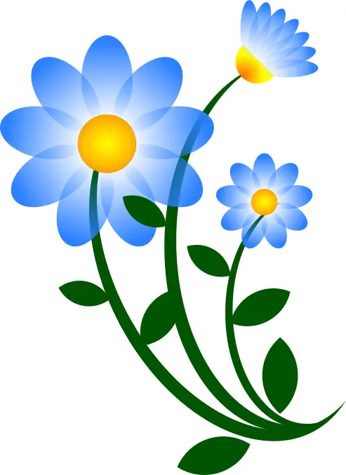 Blue Flower Motif