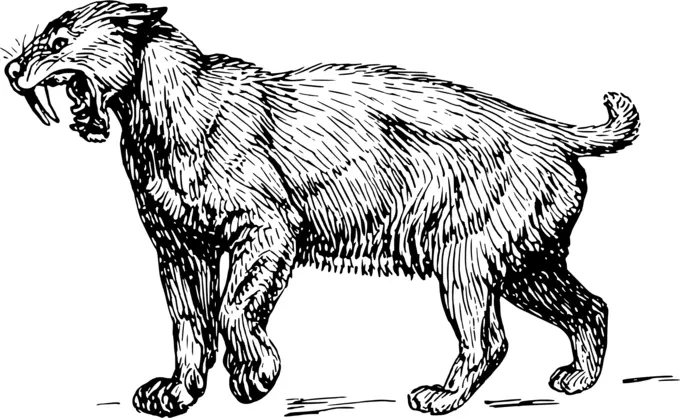 Sabre-toothed tiger