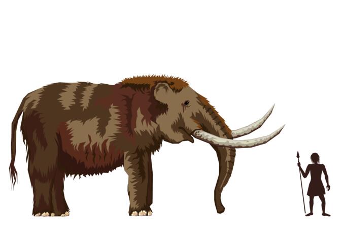 Mastodon and man