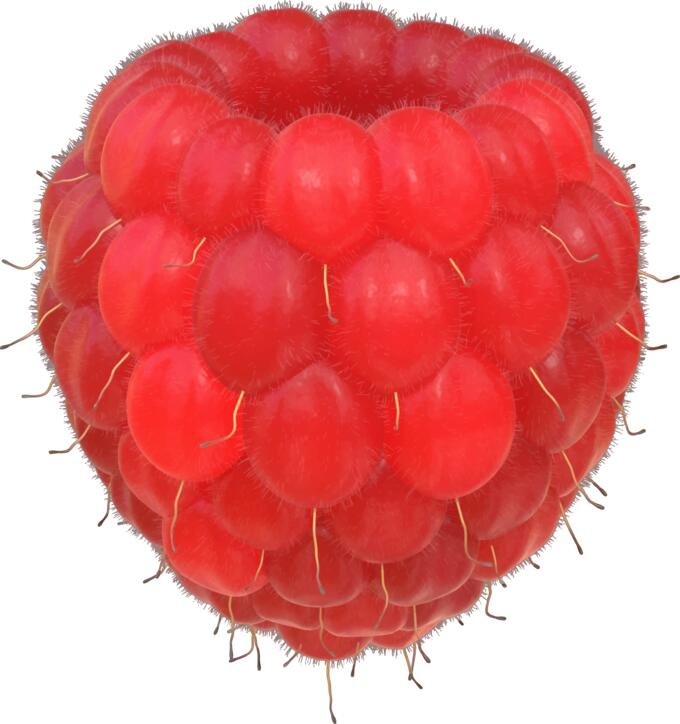 Raspberry image