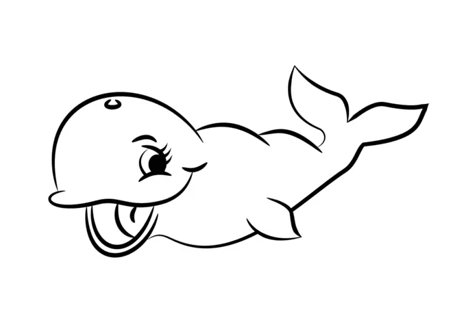 Black and white whale