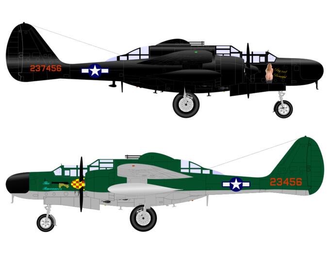 Black widow plane