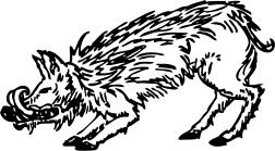 Warthog drawing
