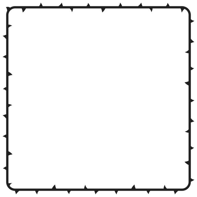 Thorns frame image
