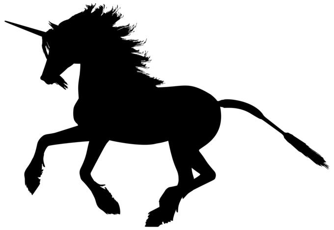 Unicorn running