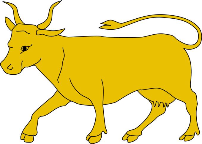 Yellow bull
