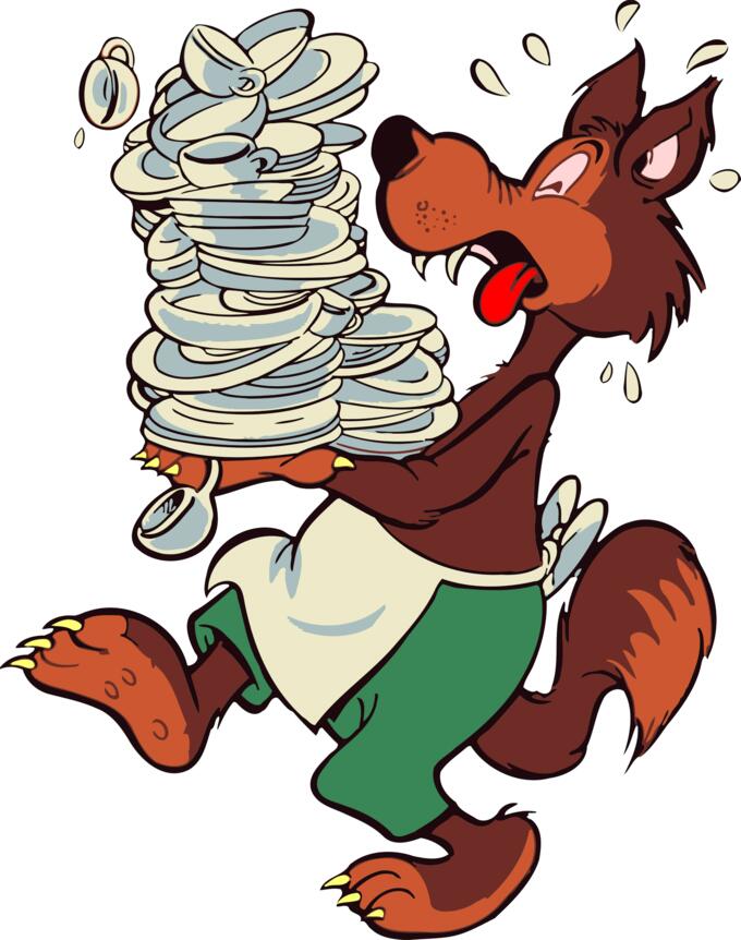 Wolf dishwasher