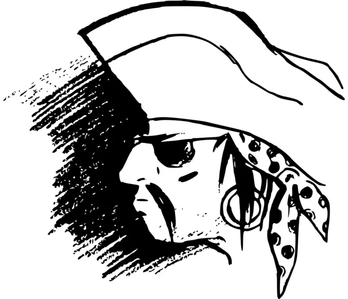Pirate's head image