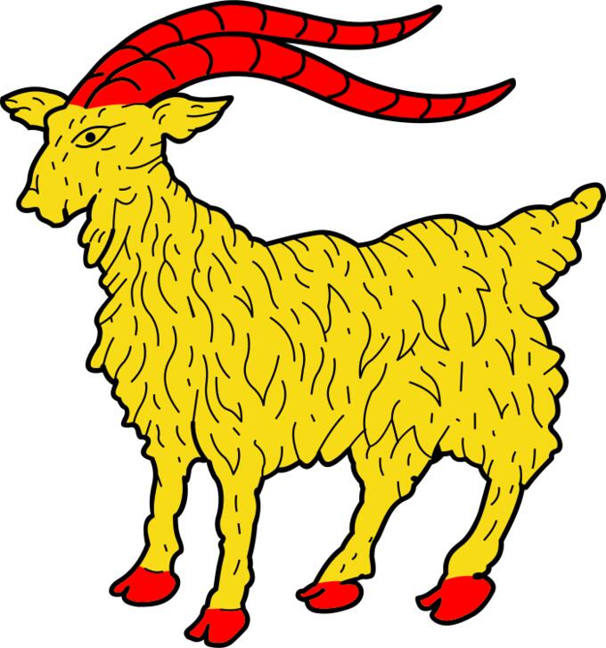Yellow goat