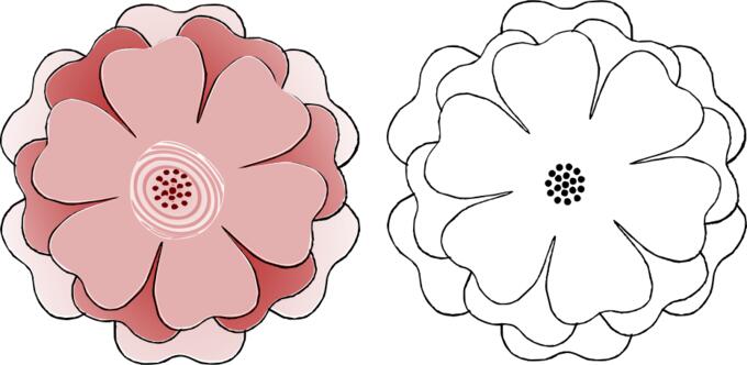 Two flowers