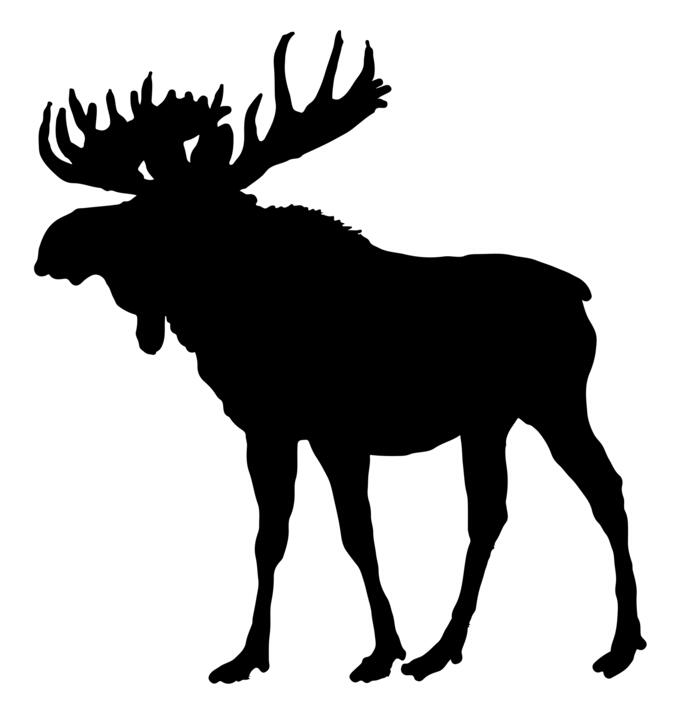 Moose silhouette