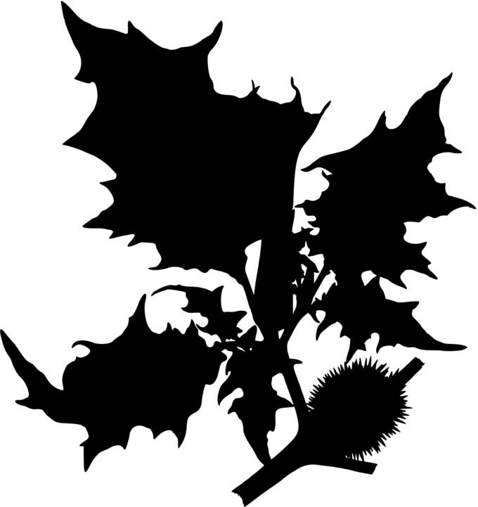 Devils snare silhouette