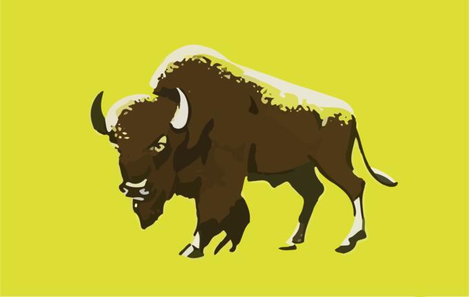 Buffalo with green background