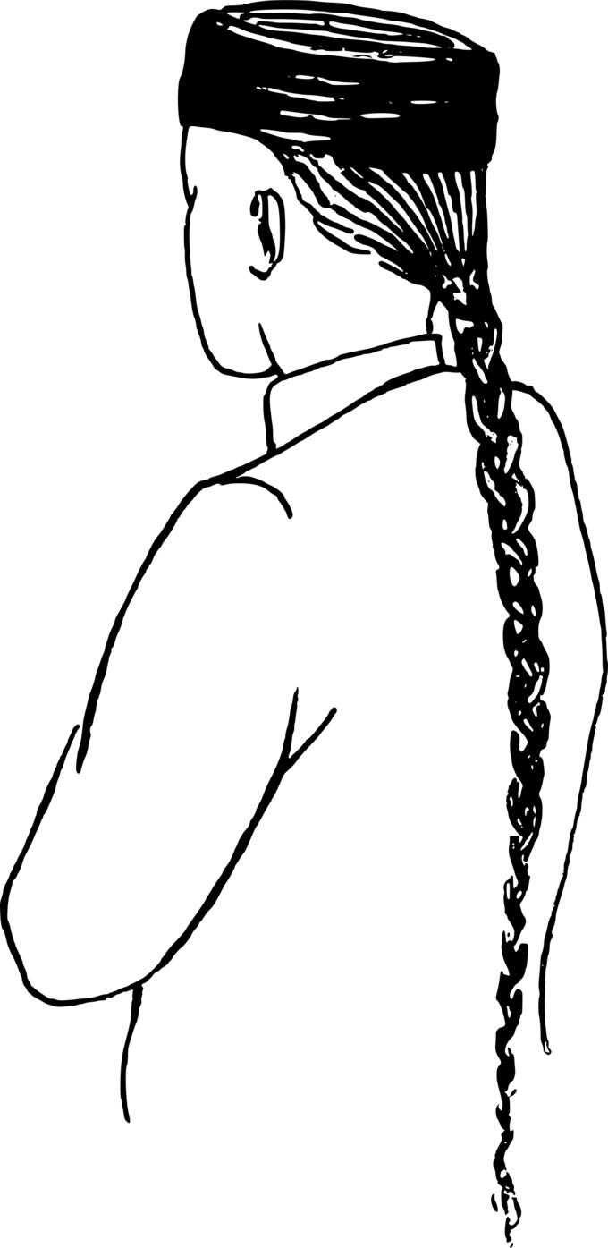 Chinese ponytail