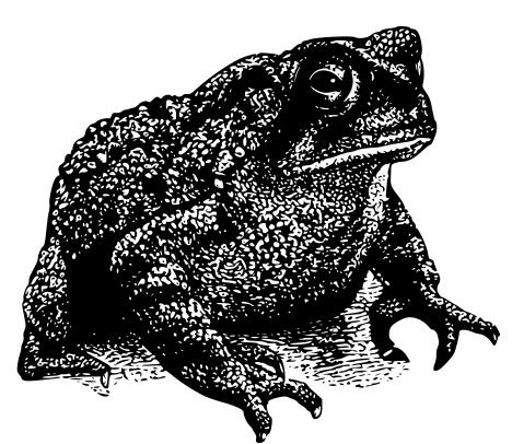 Toad silhouette