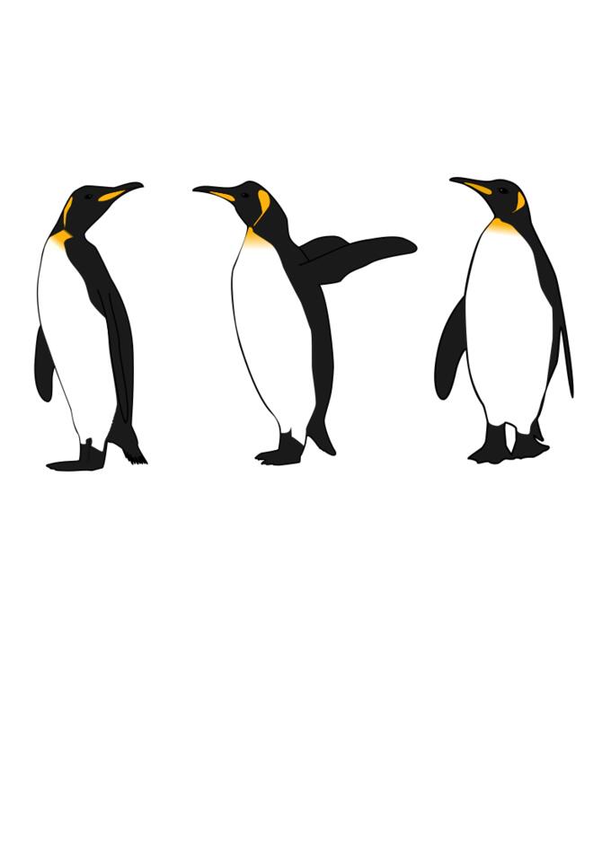 Three king penguins