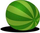 Watermelon image