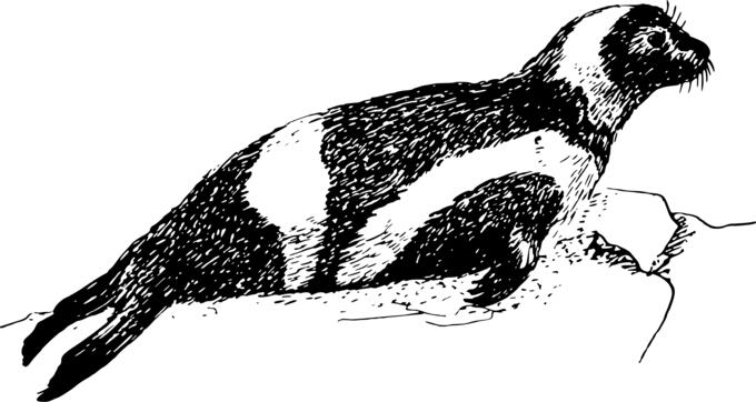 Ribbon seal