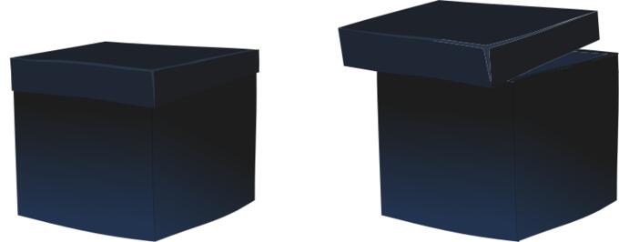 Black boxes