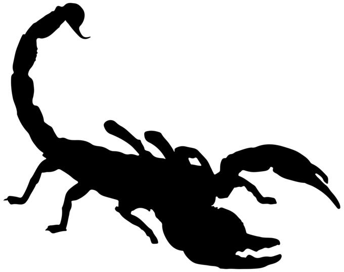 Scorpion silhouette
