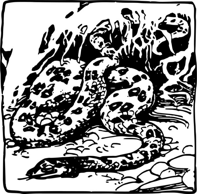 Simple snake illustration