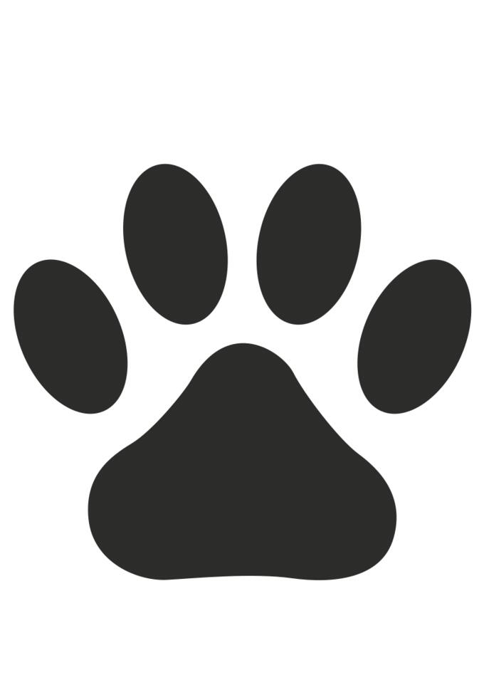 Dog footprint
