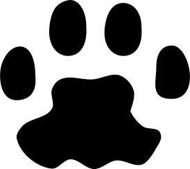 Cat paw print
