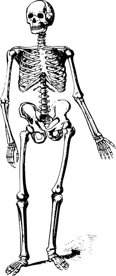 Living skelelton