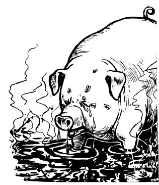 Sweaty filthy pig