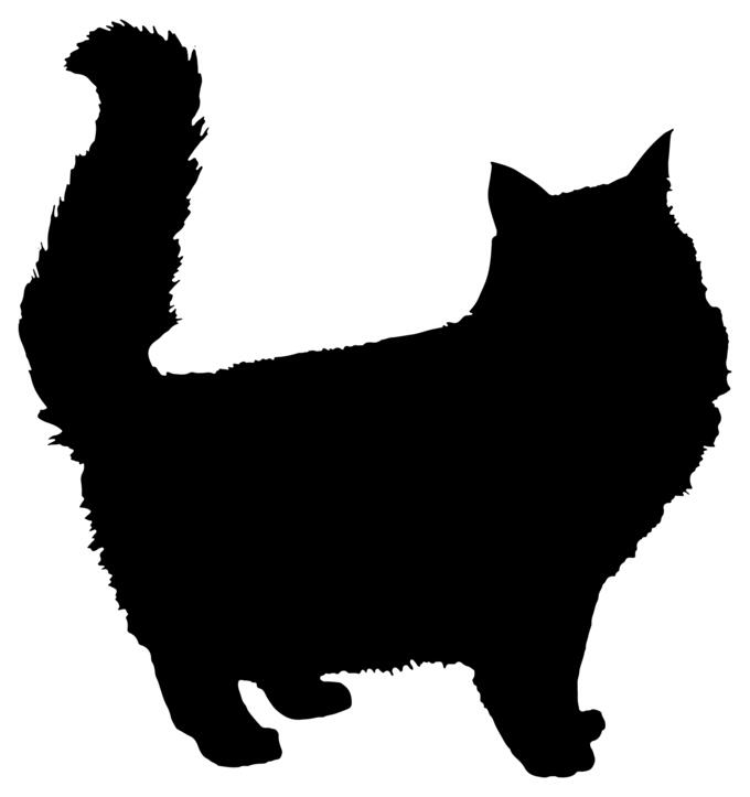 Fluffy cat silhouette
