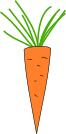 Carrot icon