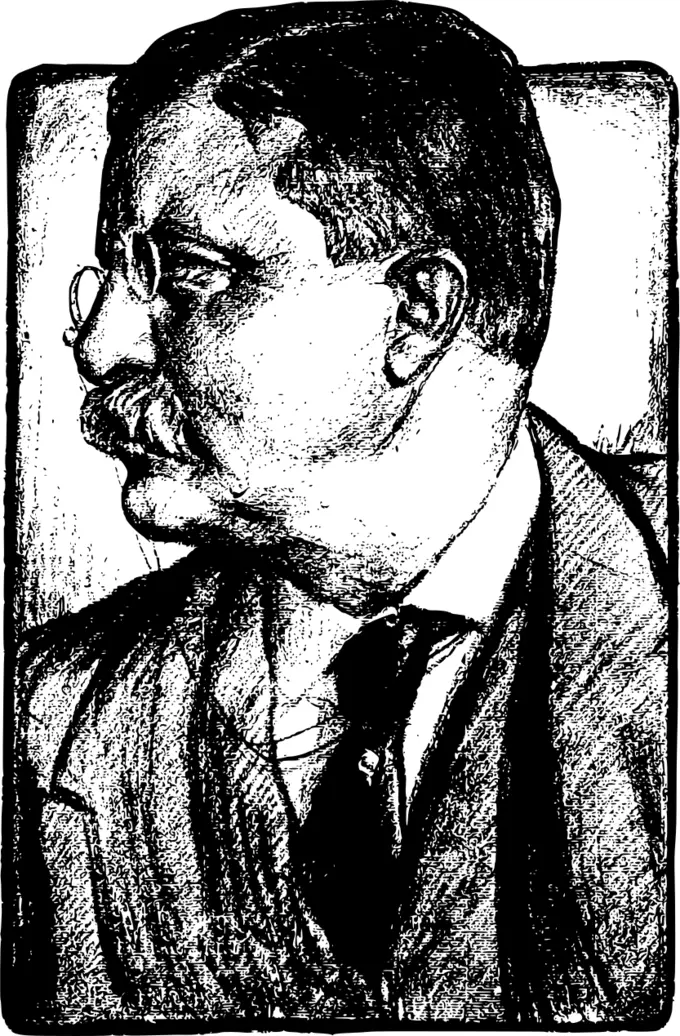 Teddy Roosevelt image