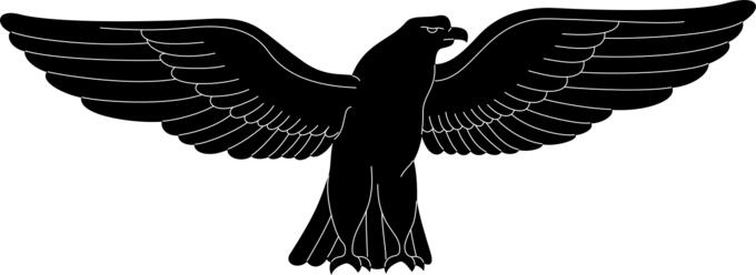 Black goshawk