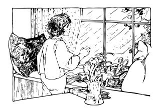 Rain out the window