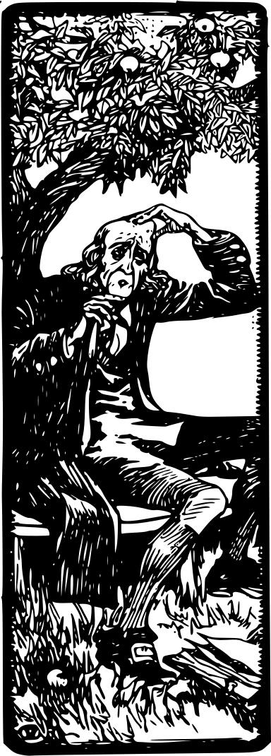 Newton image