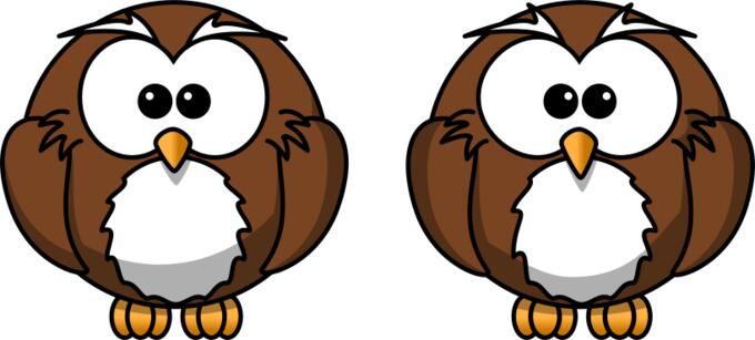 Two owls
