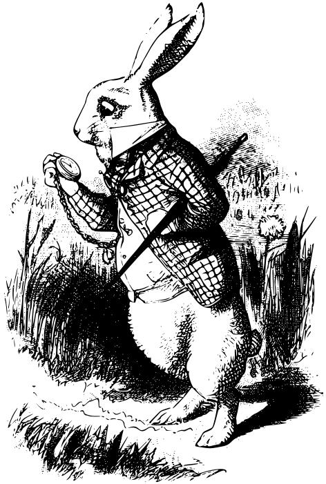 The white bunny