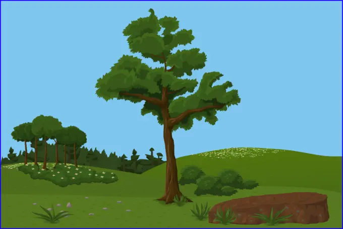 Pleasant meadow scene