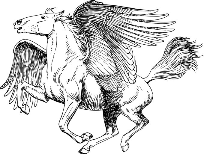 Pegasus drawing