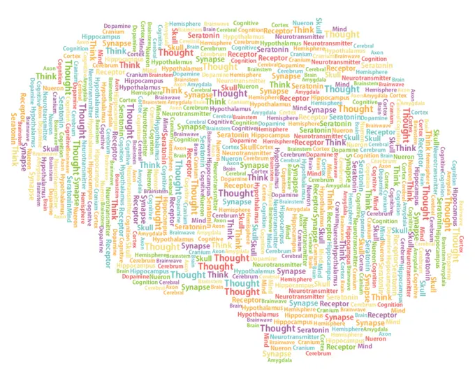 Words in brain