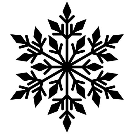 Black snowflake silhouette