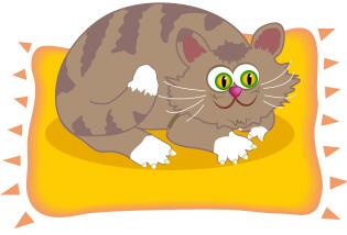 Cat on mat