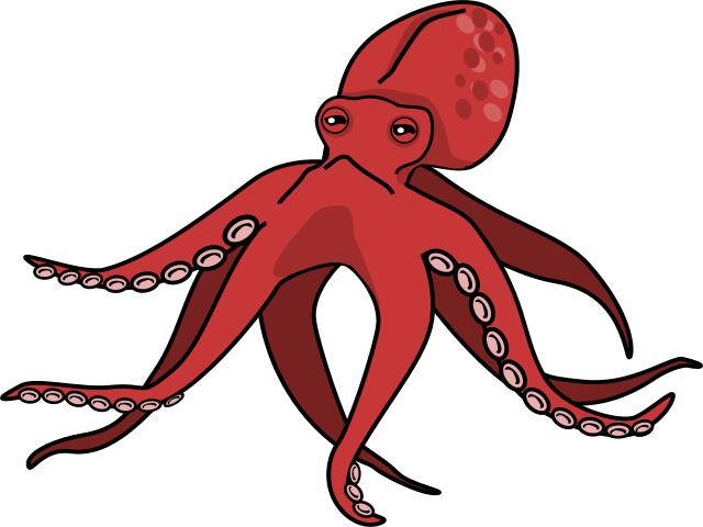Pink octopus