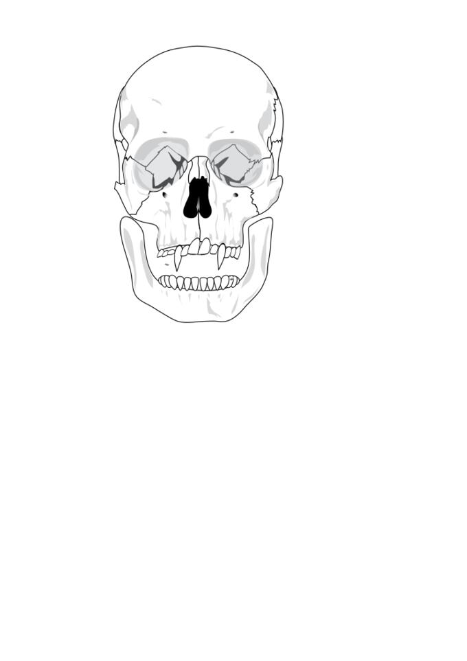 Evil skull