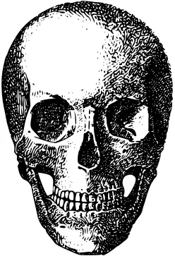 Retro skull