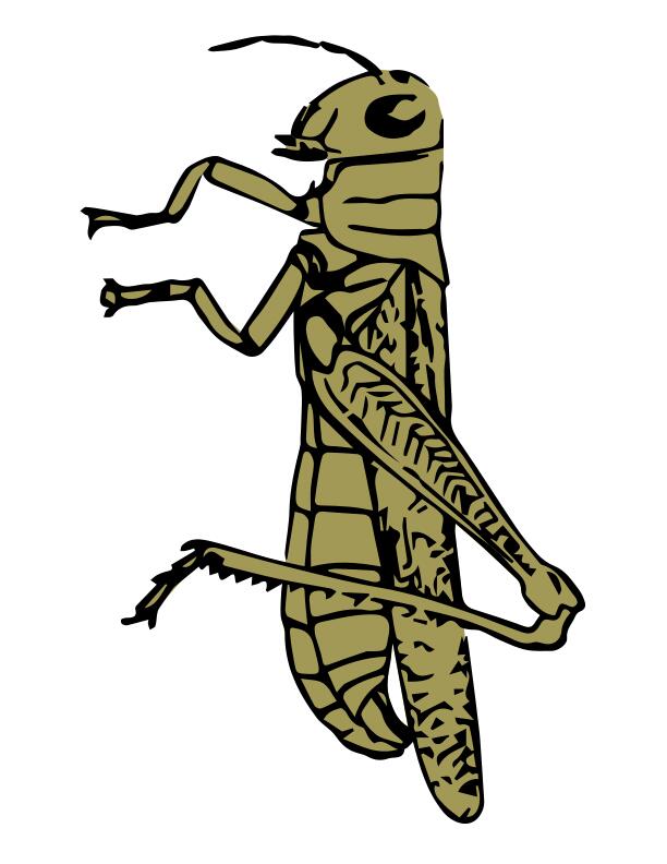 Colored grasshopper