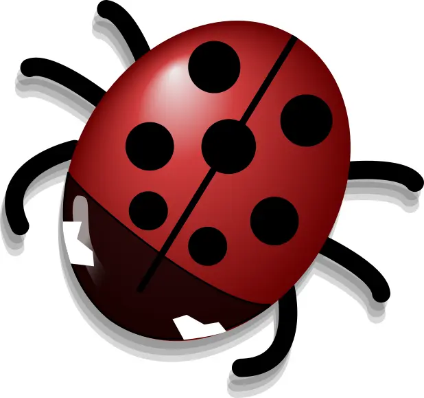 Ladybug with shadow